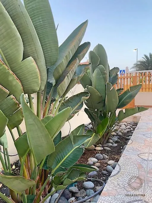 Villa Fatima - Big Terrace & Bbq-1