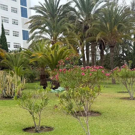 Agaete 220 Playa De Ingles By Stay In Gran Canaria-3