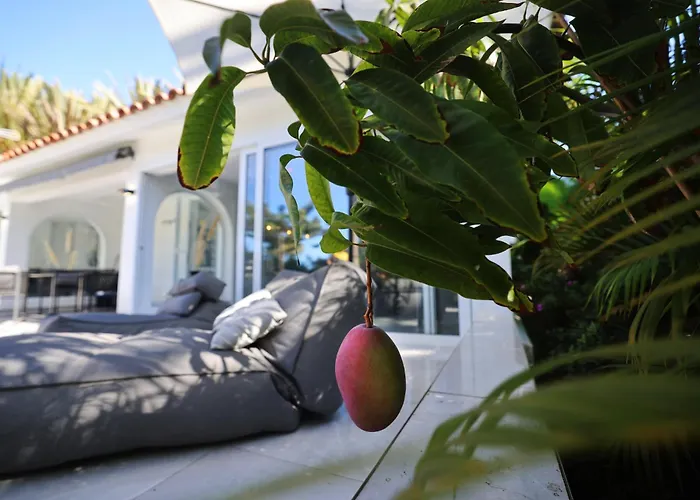 Sun Club Luxus Bungalow Projecto 65 Maspalomas  acceptant les animaux